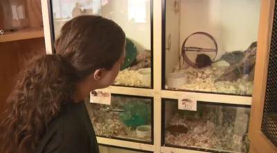 Reno's Exotic Animal Shop Closing