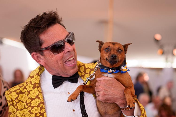 France Cannes 2026 Palm Dog