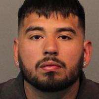 Reno Police Arrest Driver on Hit-&-Run Charges | News | 2news.com