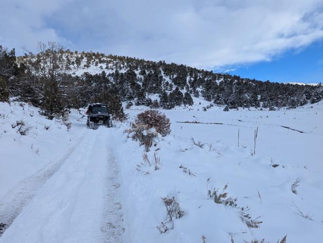 douglas sar snowshoe 3.jpg