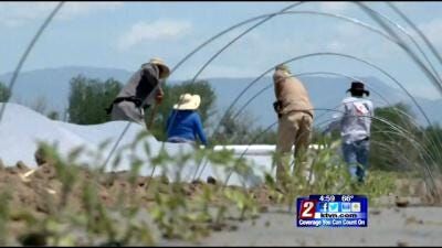 Drought Prompts Irrigation Water Cuts in Fallon