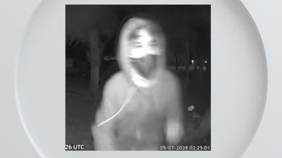 Home invasion suspect