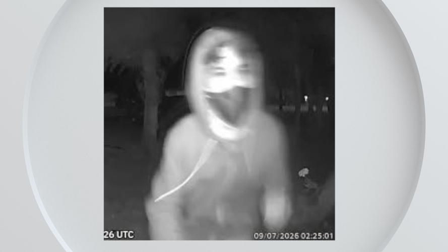 Home invasion suspect