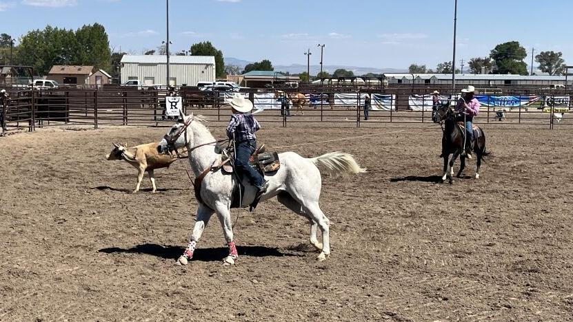 Fallon Jr Rodeo 2