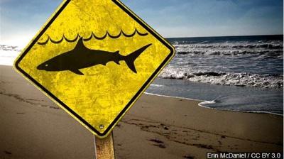 10-Foot Great White Shark Kills Surfer in Australia