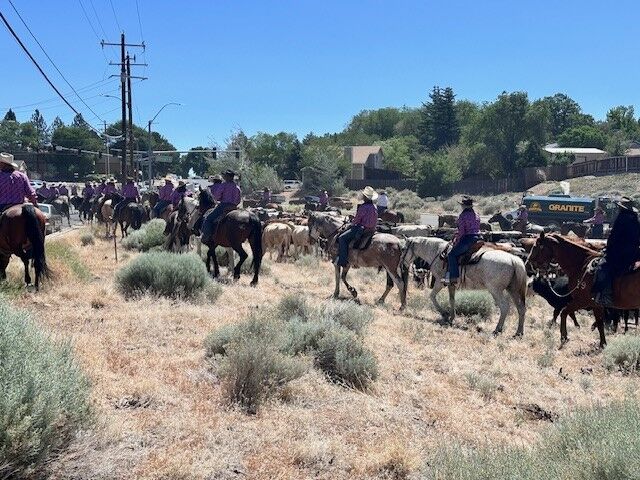 Cattle Drive 36.jpg