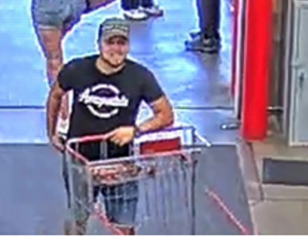 Credit card fraud case carson city.PNG