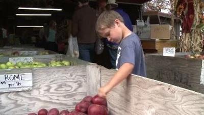 Celebrating All Things Apple in Northern California
