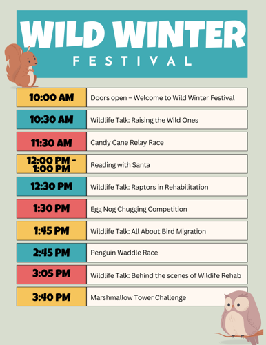 Wild Winter Festival Timeline