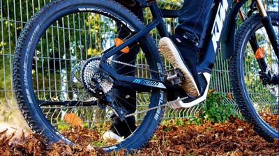 Generic e-bike