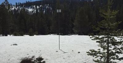 California Mammoth Snowstorms Take Toll on Sierra Wildlife