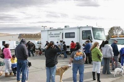 Animal Services Offers Free Vaccinations, Microchipping on Saturday