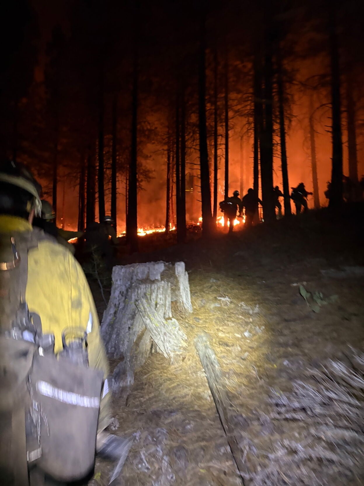 Plumas National Forest fire fight