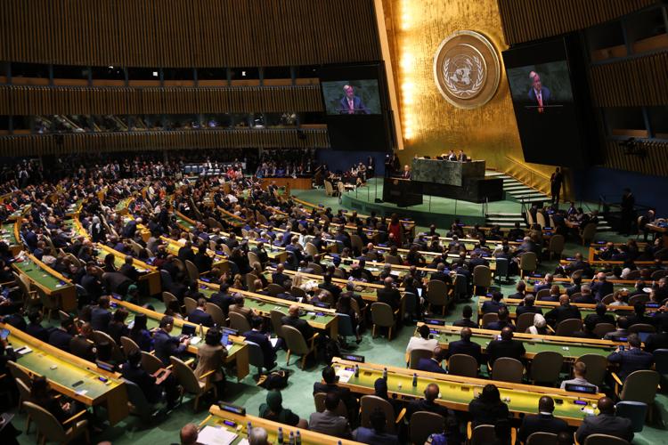 UN General Assembly