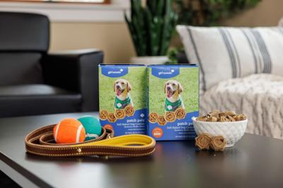 Girl Scouts Dog Cookies