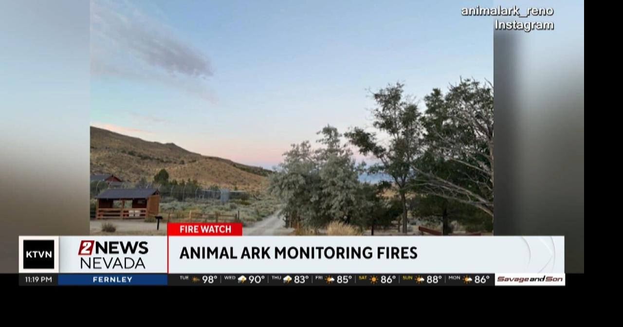 Staff caring for animals at Animal Ark as Fred Mountain Fire burns nearby