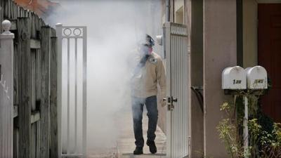 CDC: Officials Struggle to Eradicate Mosquitoes in Miami Neighborhood