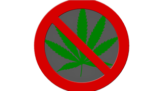 Douglas County Planning Commission Voted to Ban Marijuana Sales
