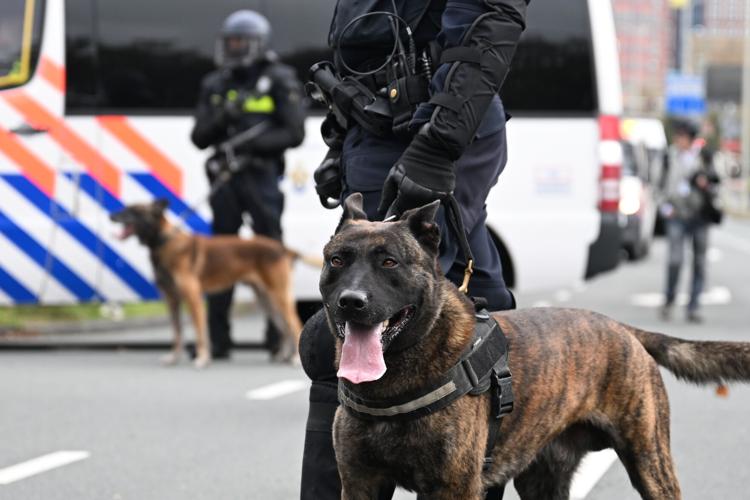 Netherlands Protest