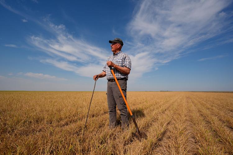 Climate Drought Wheat Farmers