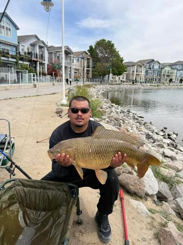 carp 2.jpg