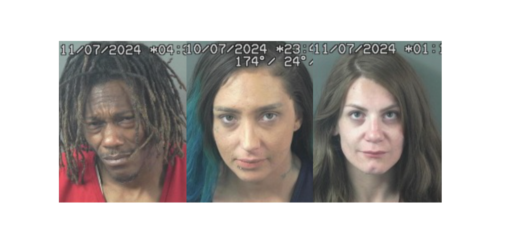 Elko Drug Arrests