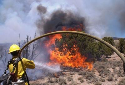 BLM to Accept Applications for Temporary Seasonal Firefighters for Ely Area