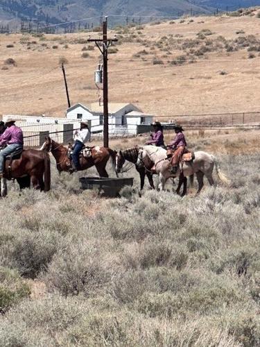 Reno Rodeo 2025 Cattle Drive - final trek to rodeo grounds 7