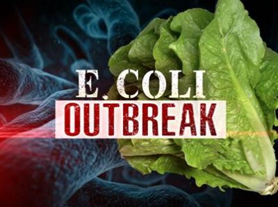 Romaine Lettuce Linked to Deadly E. Coli Outbreak