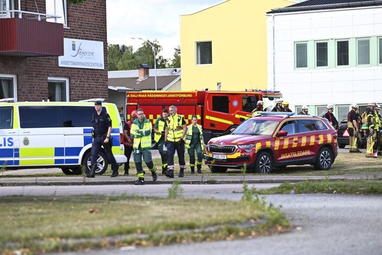 Sweden Sword Attack