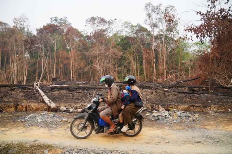 Climate El Nino Peatlands