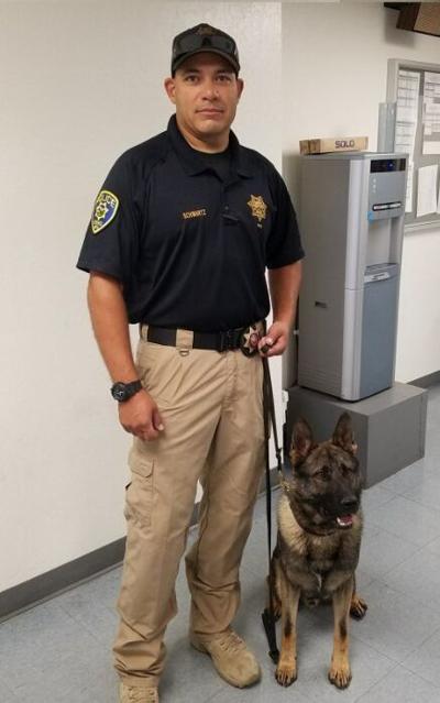 Reno Police Department Introduces New K-9 Officer Rone