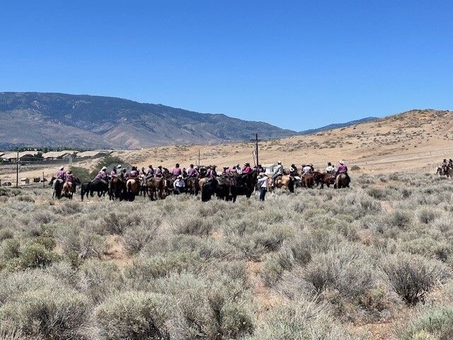 Reno Rodeo 2025 Cattle Drive - final trek to rodeo grounds 15