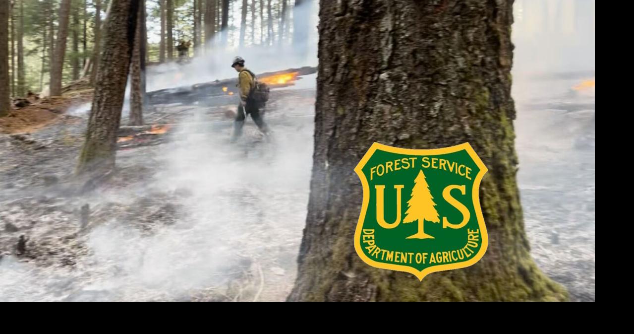 Prescribed burns planned near Reno and Carson City as wildfire ...