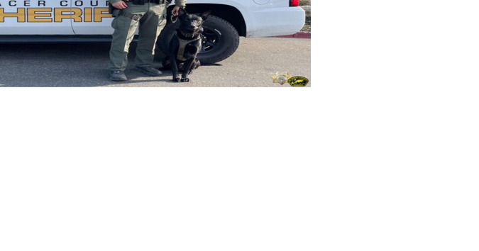Placer County Sheriff's Office Welcomes Deputy to K-9 Unit - Vimarsana News