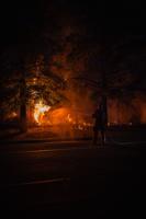 Reno After Dark's photo coverage of Reno Police's illegal fireworks enforcement
