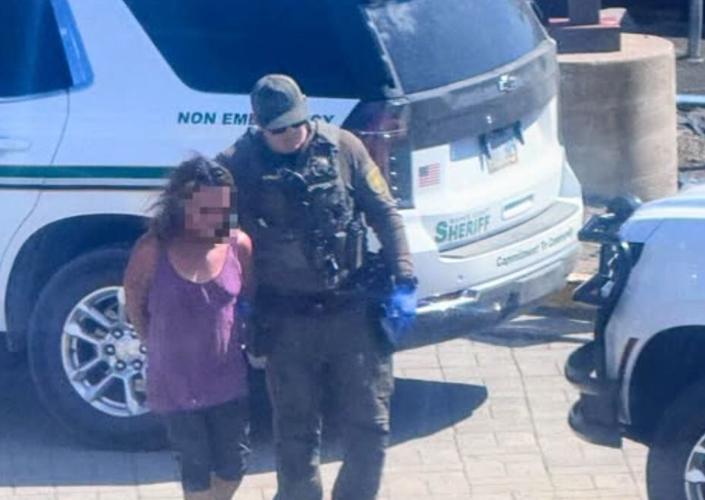 fred mountain arrest.JPG