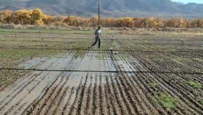 Sustainable Farming Making a Mark in Dayton
