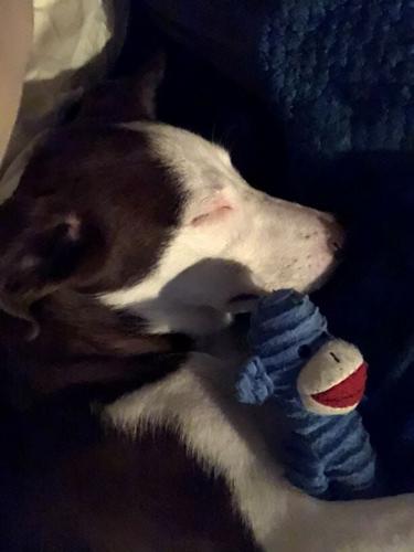 Welcome back Pieperonians!