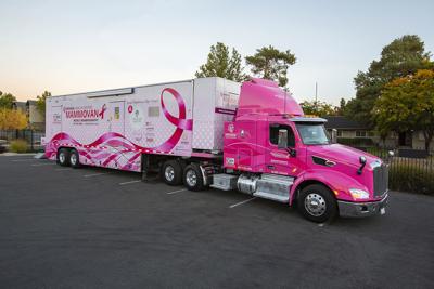 Mammovan