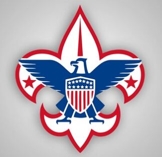 In Historic Change, Boy Scouts to Let Girls in Some Programs