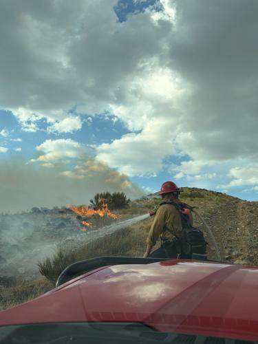Moose Fire TMFR 3.jpeg
