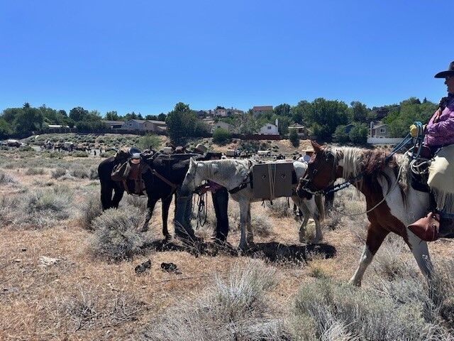 Reno Rodeo 2025 Cattle Drive - final trek to rodeo grounds 23