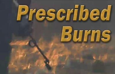 Smoke in Area From Prescribed Fires Near Tahoe