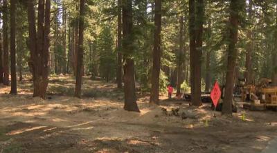 Truckee Fire Mitigation