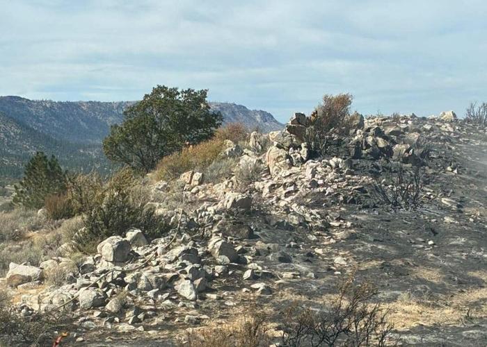 Fire south of susanville2.JPG