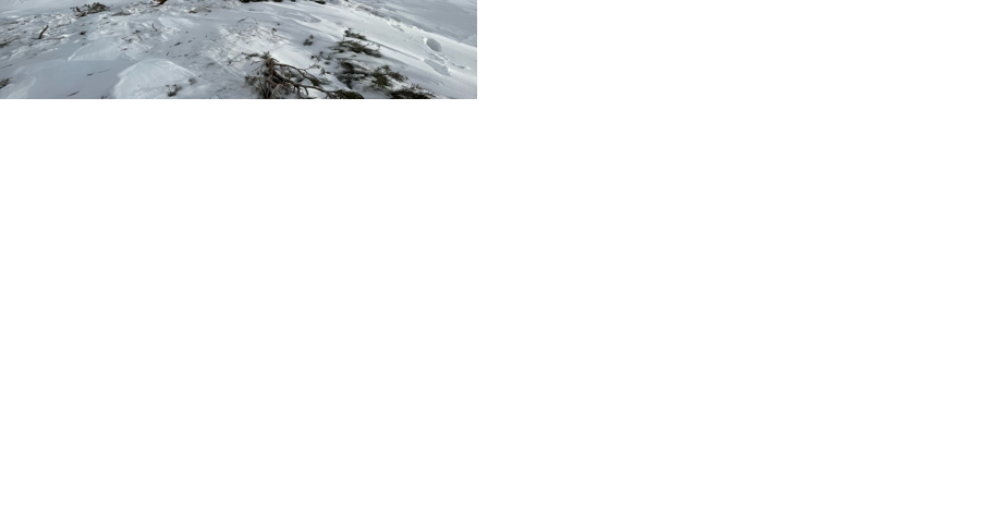 US-395 between Lee Vining and State Route 167 could be closed for weeks as crews remove snow - Vimarsana News