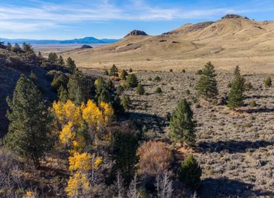 Waší·šiw Land Trust