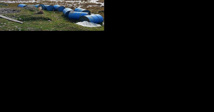 UNR researcher leads team to track chemicals through food web, mitigate impacts in Alaska - Vimarsana News