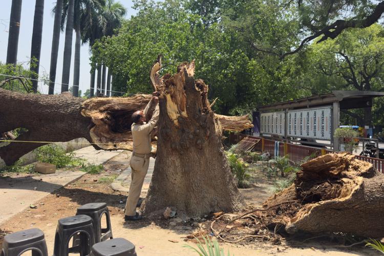 India Storm